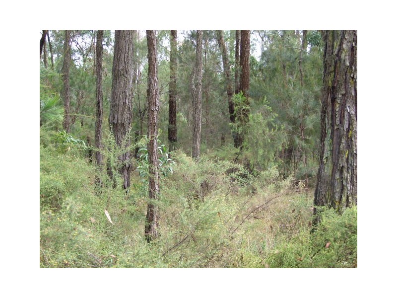 129 Avon Dam Road, Bargo NSW 2574