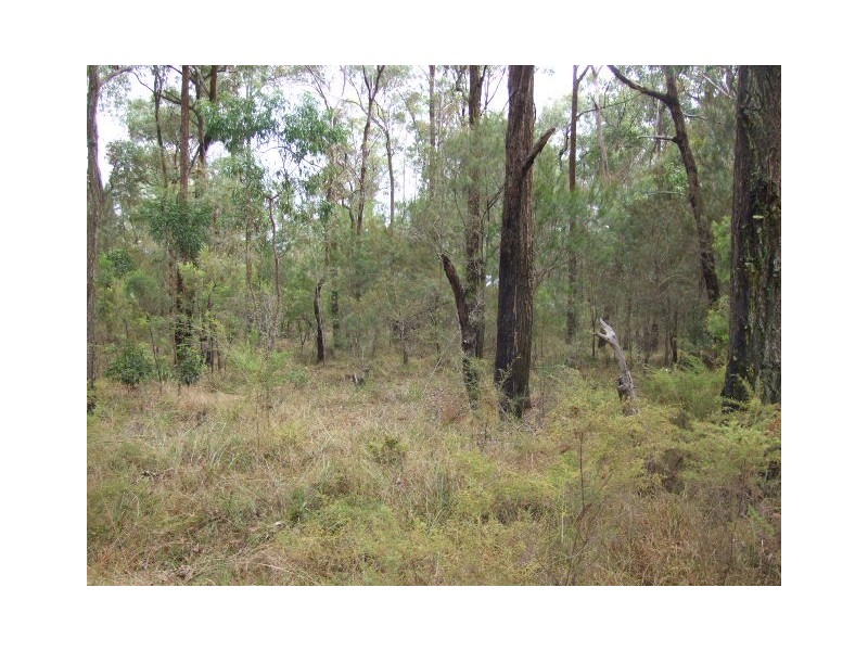 131 Avon Dam Road, Bargo NSW 2574