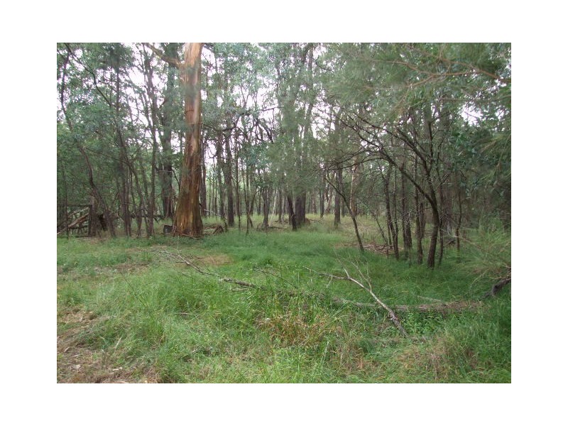 Thirlmere NSW 2572