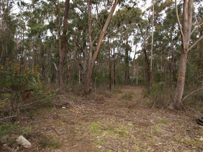 6 Starlight Place, Hill Top NSW 2575