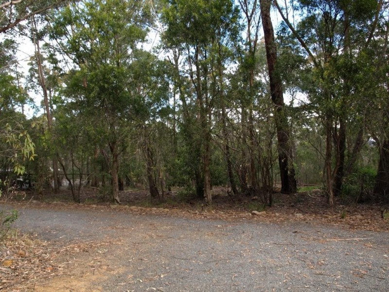 6 Starlight Place, Hill Top NSW 2575