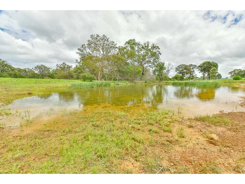 145 Lyrebird Road, Pheasants Nest NSW 2574