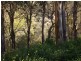 145 Charles Road, Pheasants Nest NSW 2574