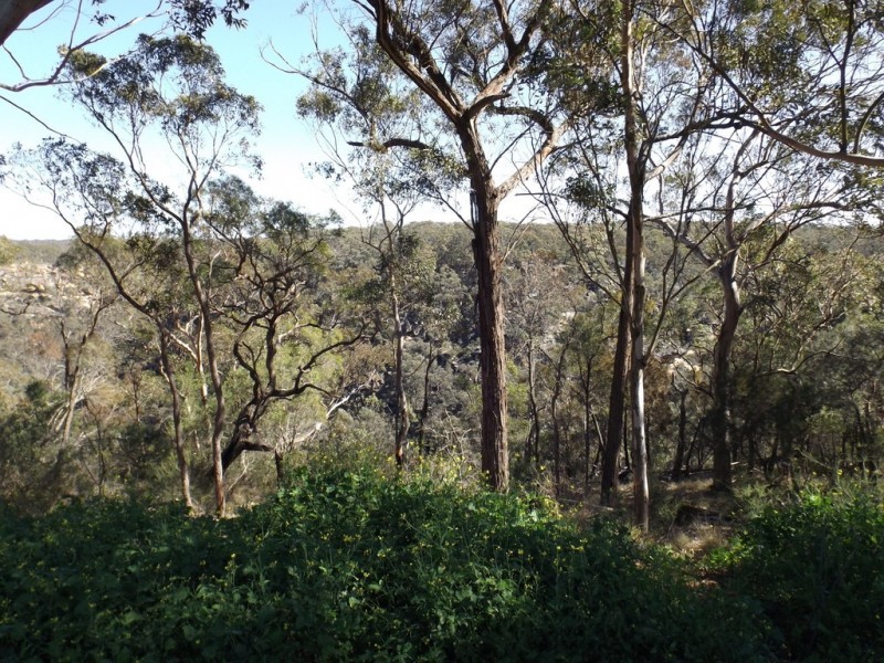 145 Charles Road, Pheasants Nest NSW 2574