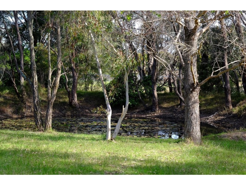 310 Arina Road, Bargo NSW 2574