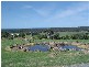 Milton NSW 2538