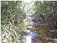 Milton NSW 2538