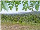 Milton NSW 2538