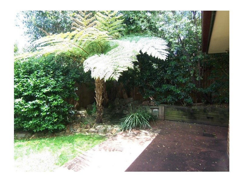 4A Wayella Street, West Ryde NSW 2114
