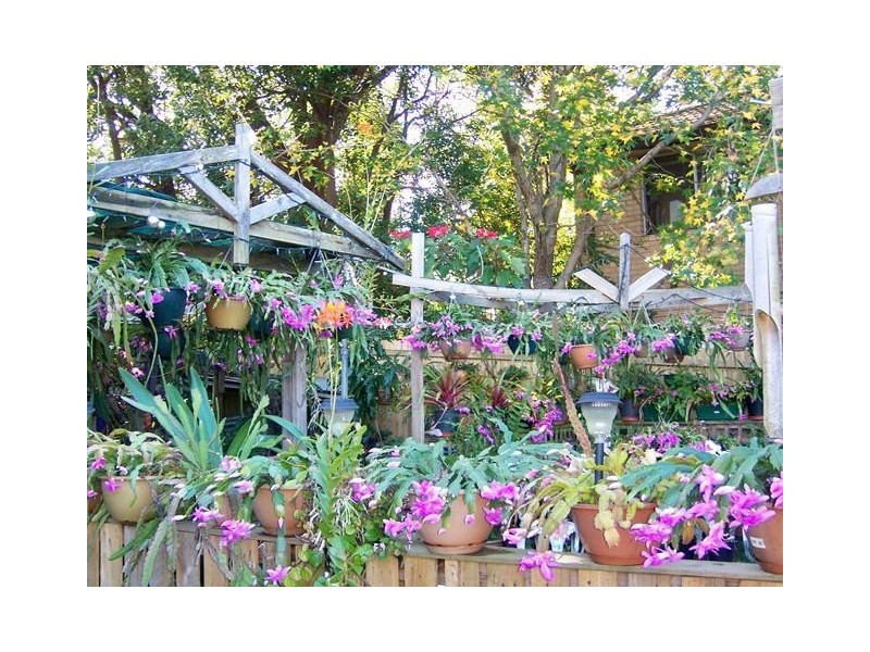 1225 Victoria Road, West Ryde NSW 2114