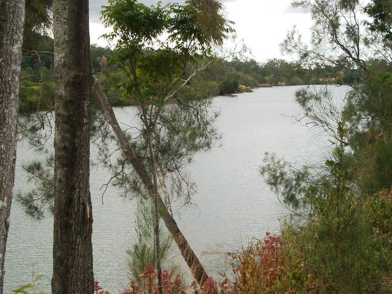 65 Graywillow Blvd, Oxenford QLD 4210