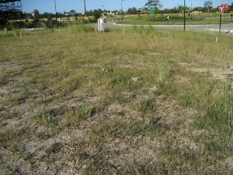 Upper Coomera QLD 4209