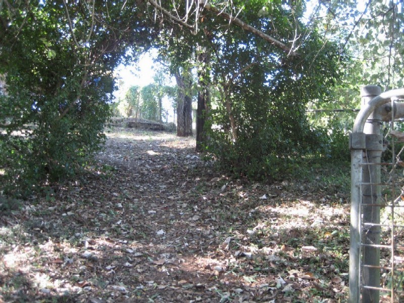 9 Georgina Street, Oxenford QLD 4210