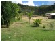 Willow Vale QLD 4209