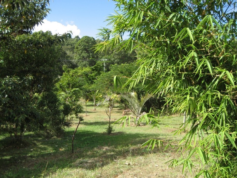 Willow Vale QLD 4209