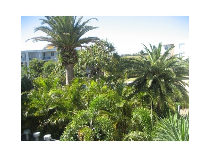 121/66 Sickle Ave, Hope Island QLD 4212