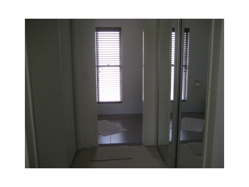 36 Treeline Cct, Upper Coomera QLD 4209