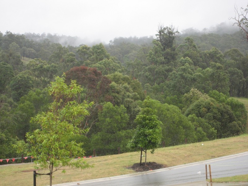 3 Garigal Court, Upper Coomera QLD 4209