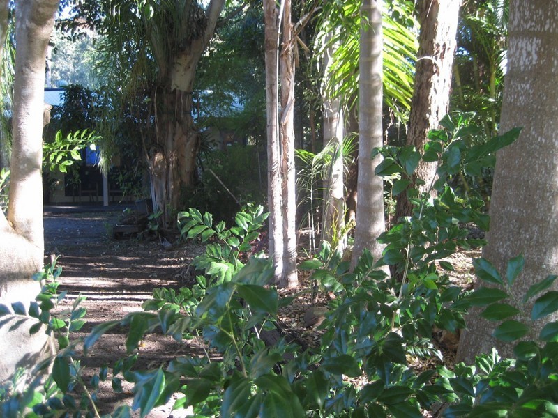 Upper Coomera QLD 4209