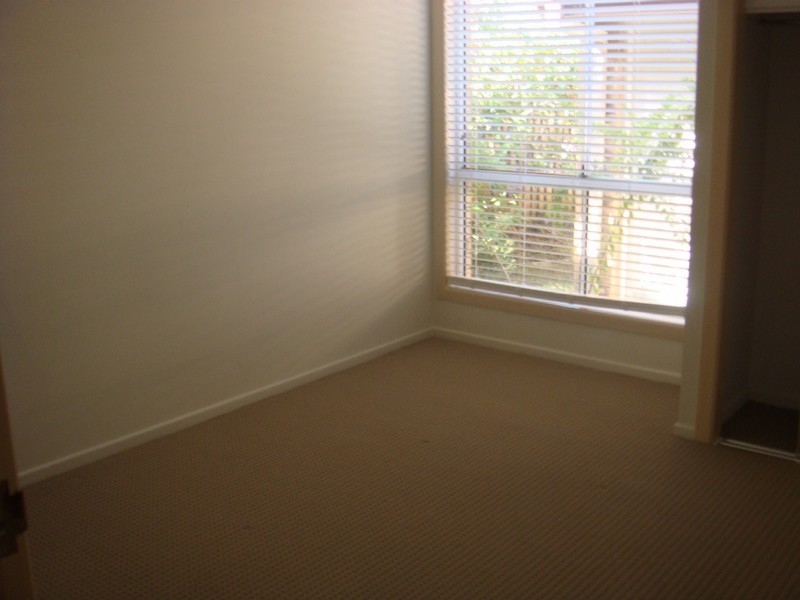 58 Studio Drive, Oxenford QLD 4210