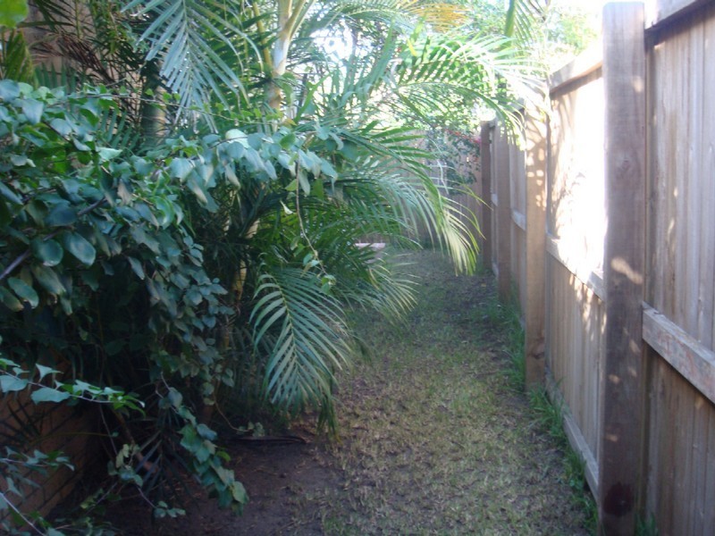 58 Studio Drive, Oxenford QLD 4210