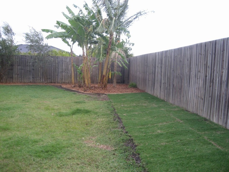 Upper Coomera QLD 4209