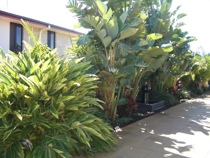 91 Salvado Drive, Pacific Pines QLD 4211