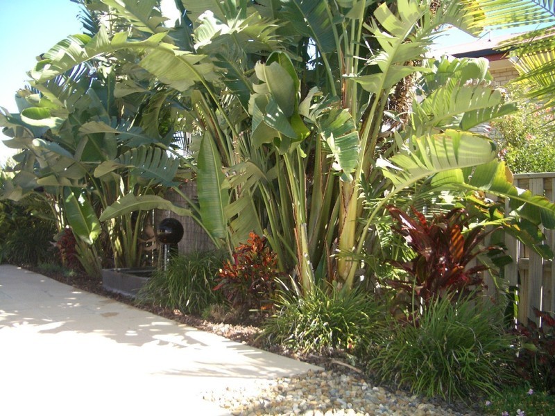 91 Salvado Drive, Pacific Pines QLD 4211