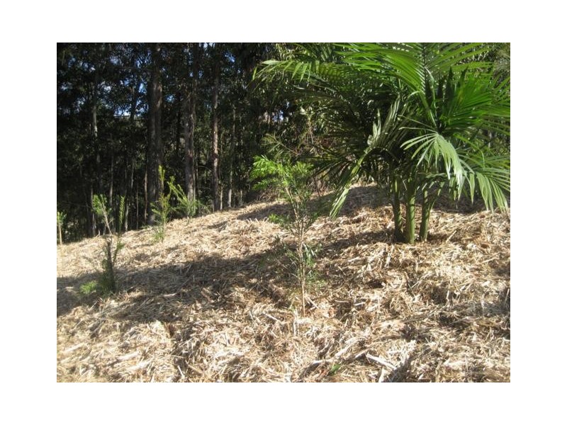 20 Denise Drive, Upper Coomera QLD 4209