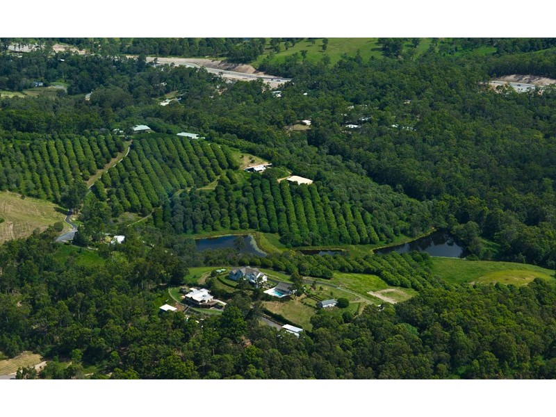 Upper Coomera QLD 4209