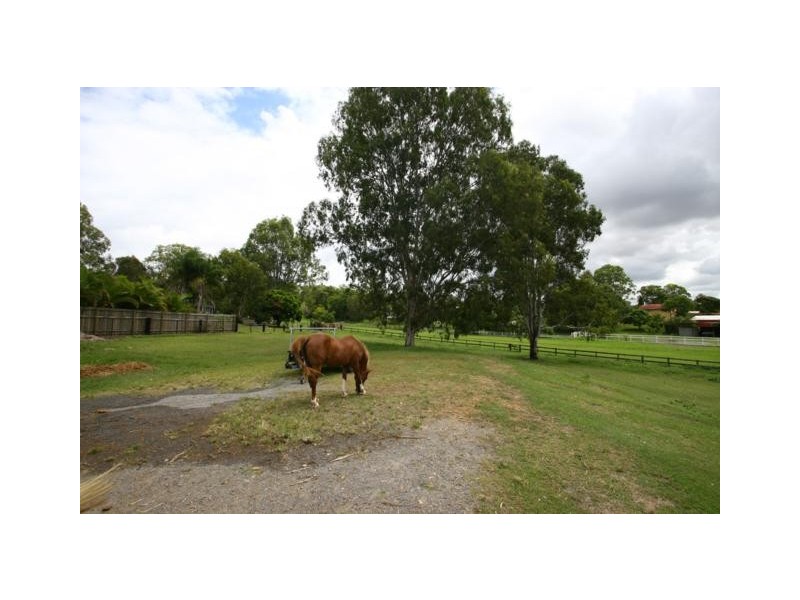 37 Riversdale Rd, Oxenford QLD 4210