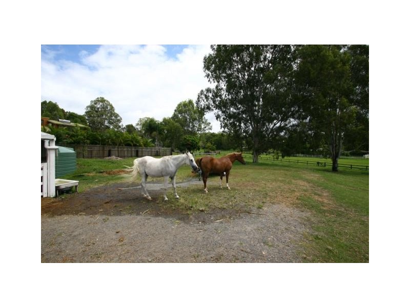 37 Riversdale Rd, Oxenford QLD 4210