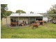 126 Currey Road, Wongawallan QLD 4210