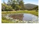126 Currey Road, Wongawallan QLD 4210