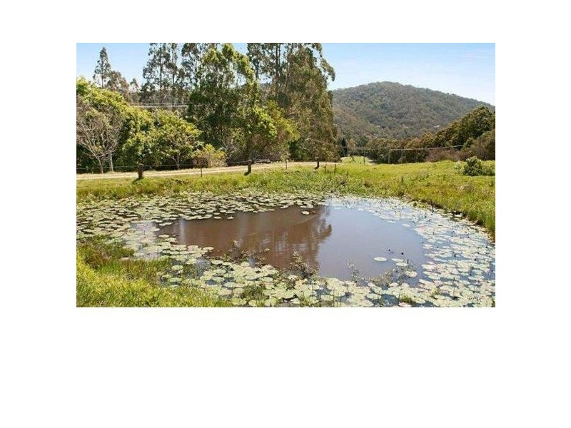 126 Currey Road, Wongawallan QLD 4210