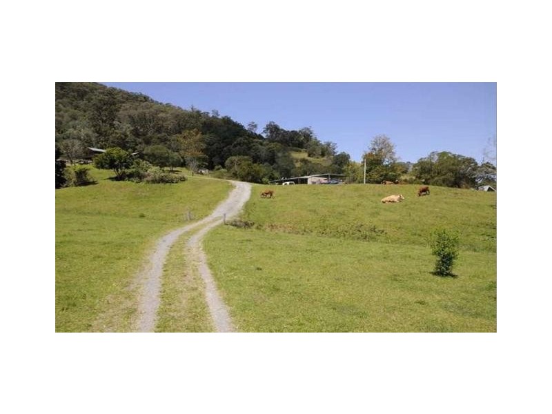 126 Currey Road, Wongawallan QLD 4210