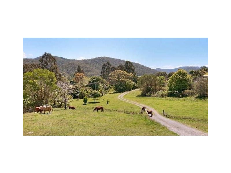126 Currey Road, Wongawallan QLD 4210