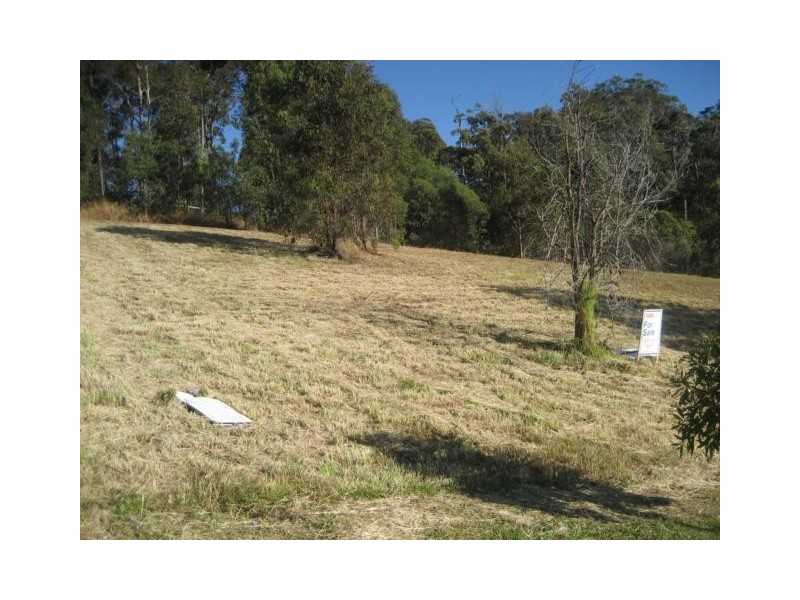 79 Bluetail Cr, Upper Coomera QLD 4209