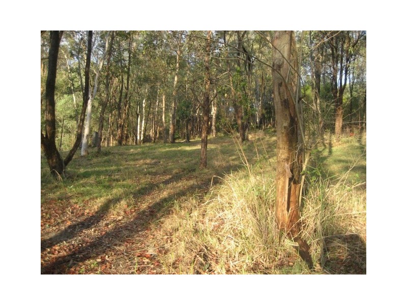 5 Woodside Place, Helensvale QLD 4212