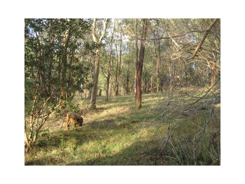 5 Woodside Place, Helensvale QLD 4212