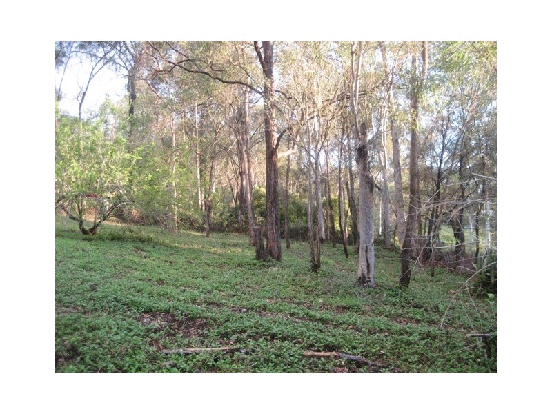 5 Woodside Place, Helensvale QLD 4212