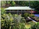 16 Asher Court, Upper Coomera QLD 4209