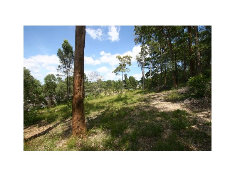 20 Mungana Drive, Upper Coomera QLD 4209