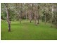 19 Asher Court, Upper Coomera QLD 4209