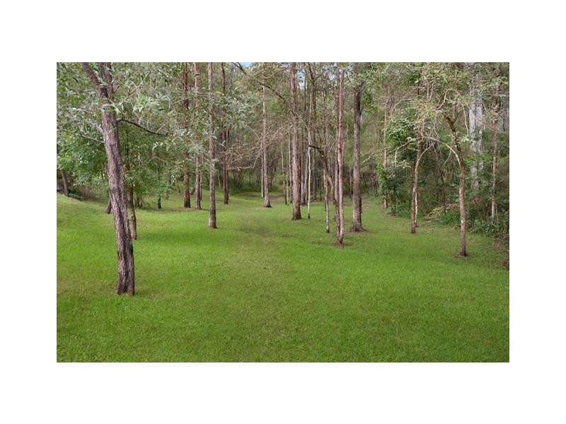 19 Asher Court, Upper Coomera QLD 4209