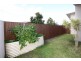 19 Garawarra Crescent, Upper Coomera QLD 4209