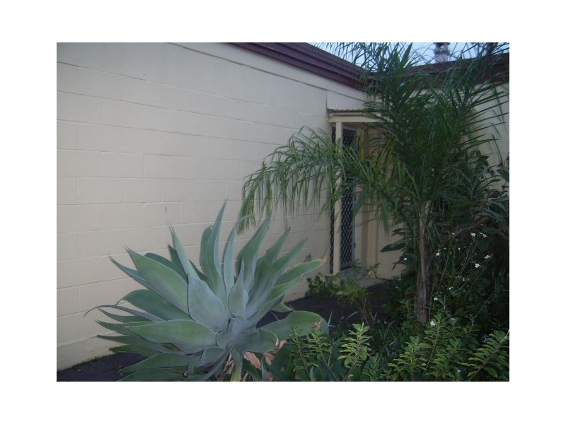 3/47 Harle Avenue, Wilston QLD 4051