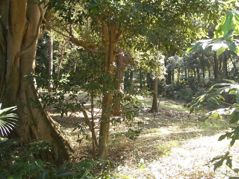 Coledale NSW 2515