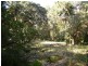 Coledale NSW 2515