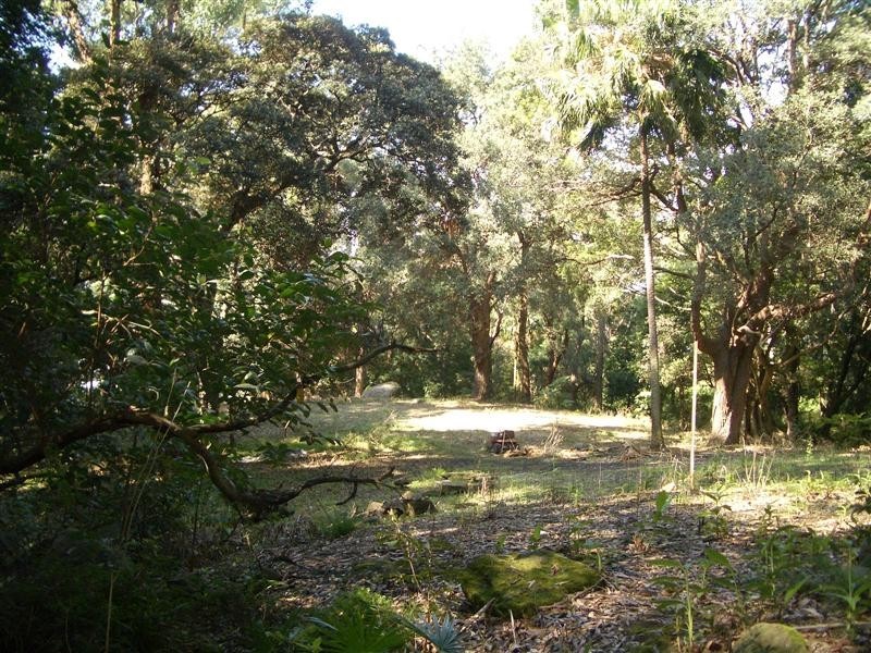 Coledale NSW 2515